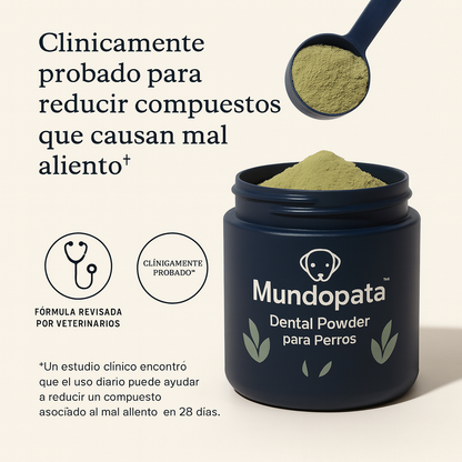 Polvo dental Advanced MundoPata