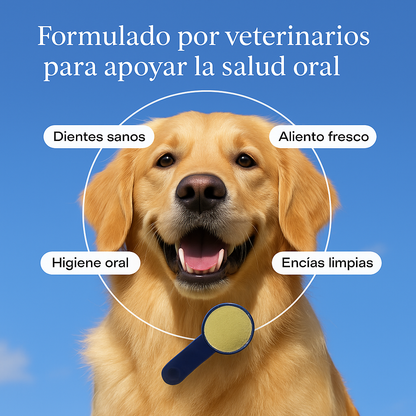 Polvo dental Advanced MundoPata