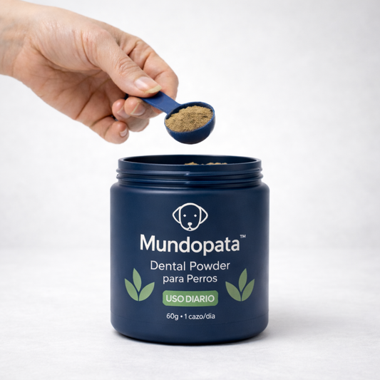 Polvo dental Advanced MundoPata