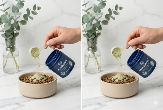 Polvo dental Advanced MundoPata